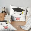 throwpillowsecondary 36x361000x1000 bgf8f8f8 11 - PhD Graduation Gifts