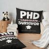 throwpillowsecondary 36x361000x1000 bgf8f8f8 4 - PhD Graduation Gifts