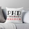 throwpillowsmall1000x bgf8f8f8 c020010001000 12 - PhD Graduation Gifts